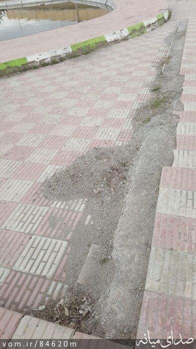 تصویر مرتضی رشیدی