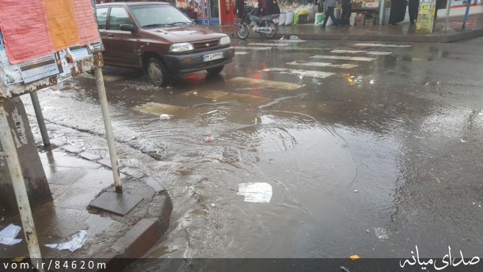 تصویر مرتضی رشیدی