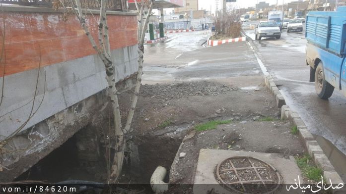 تصویر مرتضی رشیدی