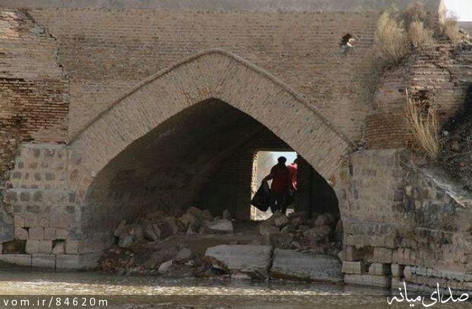 تصویر مرتضی رشیدی