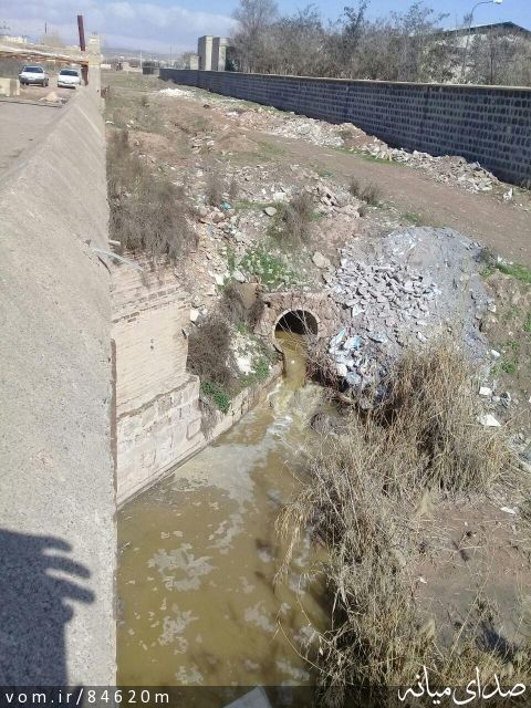 تصویر مرتضی رشیدی