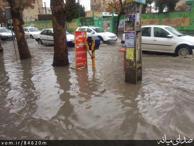 تصویر مرتضی رشیدی