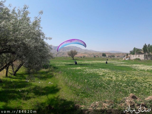 تصویر مرتضی رشیدی