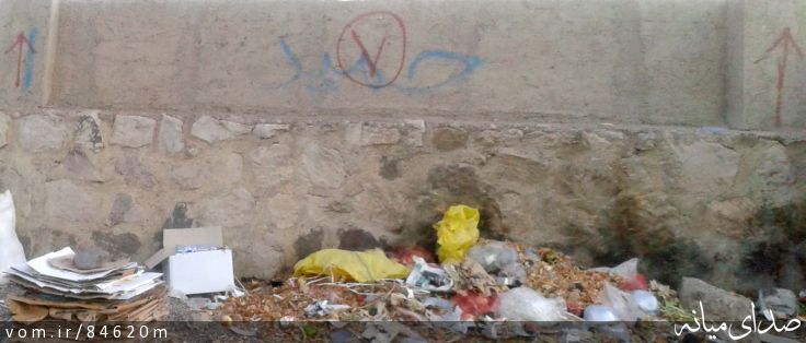 تصویر مرتضی رشیدی