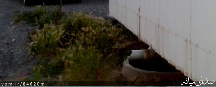 تصویر مرتضی رشیدی