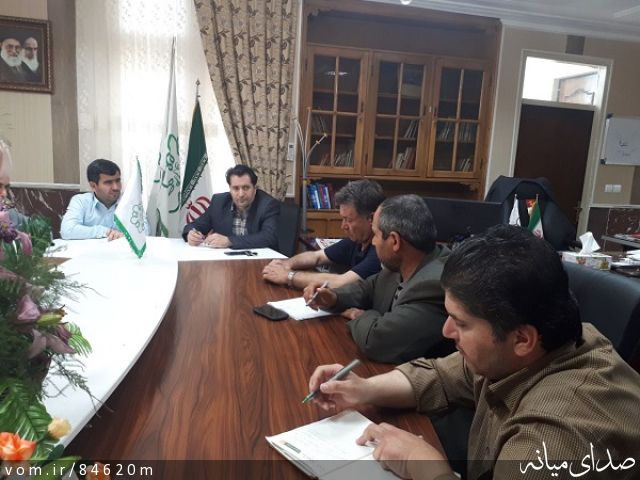 تصویر مرتضی رشیدی