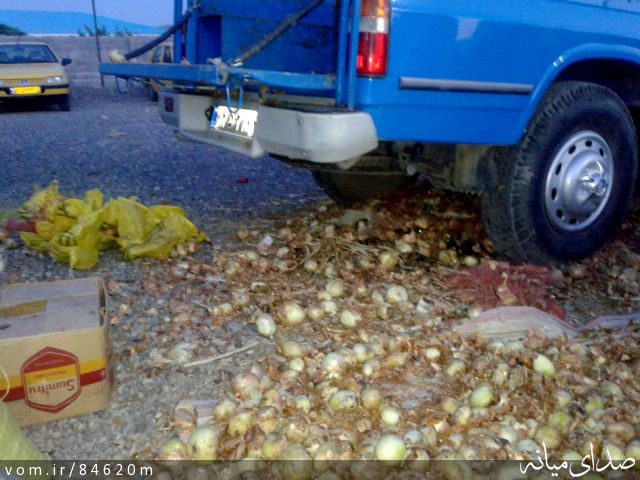 تصویر مرتضی رشیدی