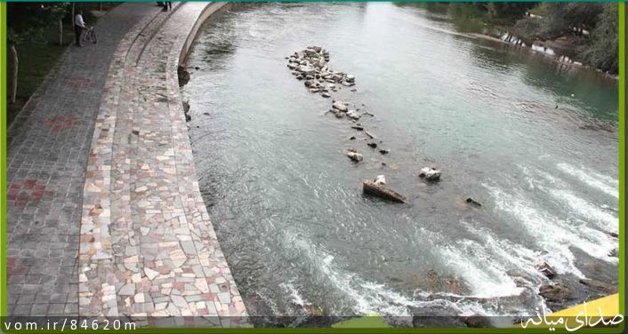 تصویر مرتضی رشیدی