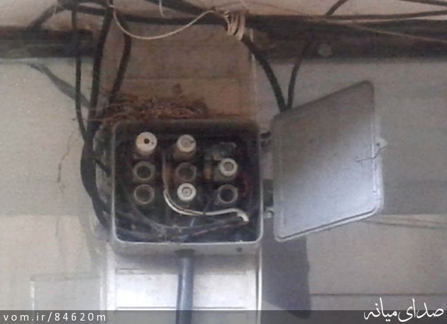 تصویر مرتضی رشیدی