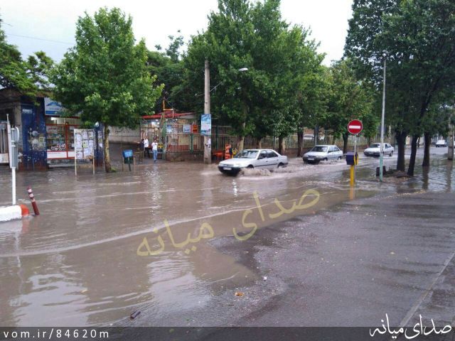 تصویر مرتضی رشیدی