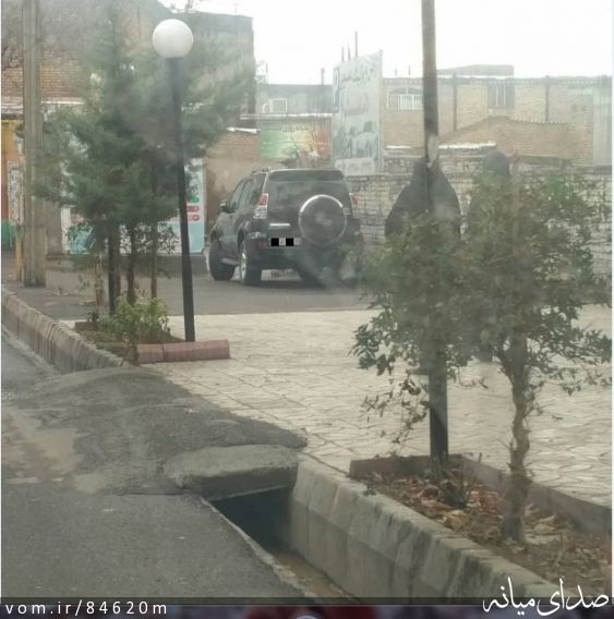 تصویر مرتضی رشیدی