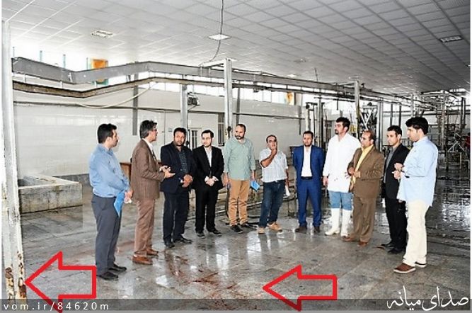 تصویر مرتضی رشیدی
