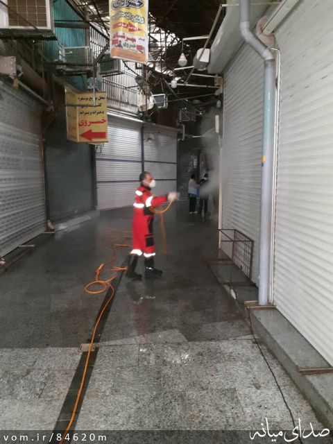 تصویر مرتضی رشیدی