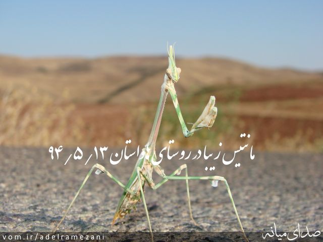 تصویر عادل رمضانی