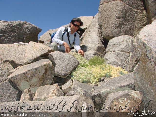 تصویر عادل رمضانی