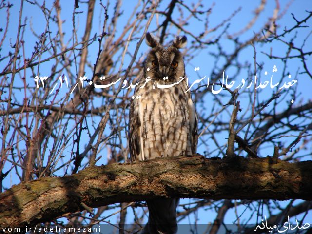 تصویر عادل رمضانی
