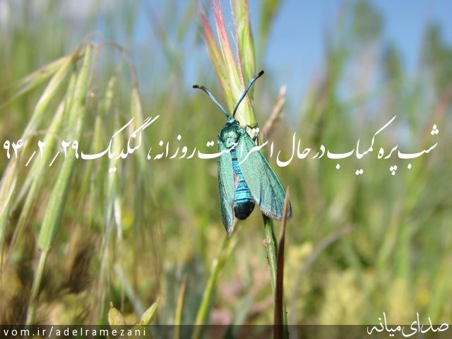 تصویر عادل رمضانی