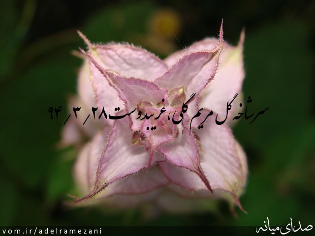 تصویر عادل رمضانی