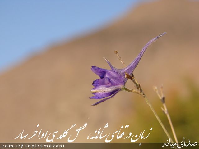 تصویر عادل رمضانی
