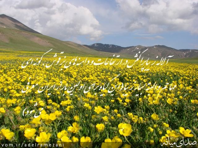 تصویر عادل رمضانی