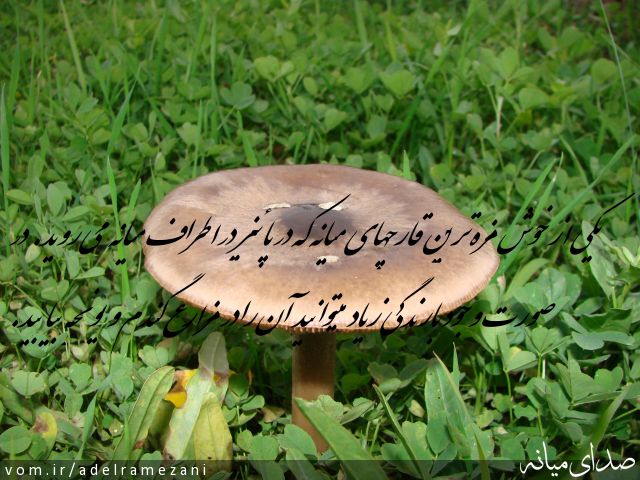 تصویر عادل رمضانی