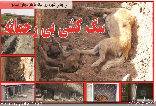 تصویر قادر حسن زاده