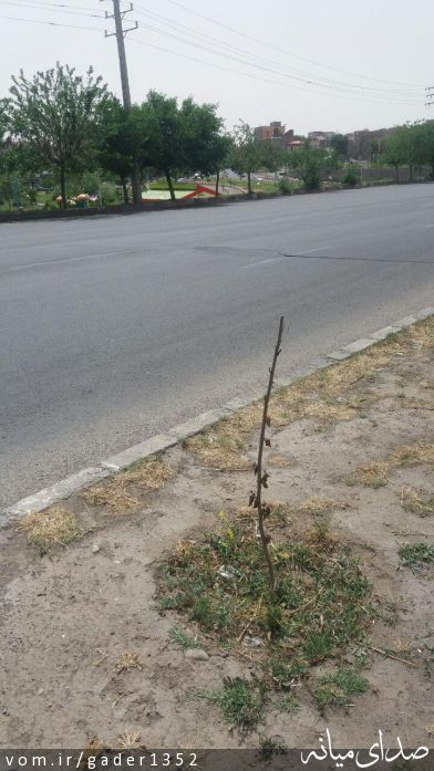 تصویر قادر حسن زاده