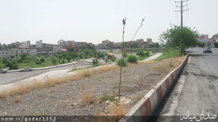 تصویر قادر حسن زاده