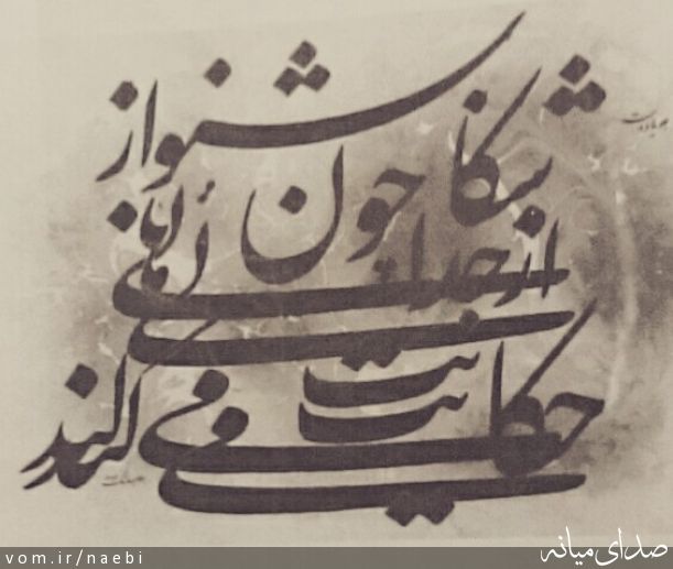 تصویر محمدصادق نائبی