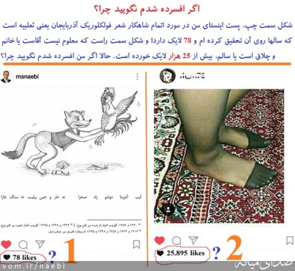 تصویر محمدصادق نائبی