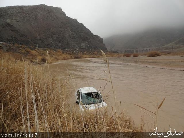 تصویر رضا امامی