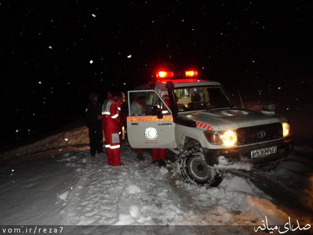 تصویر رضا امامی