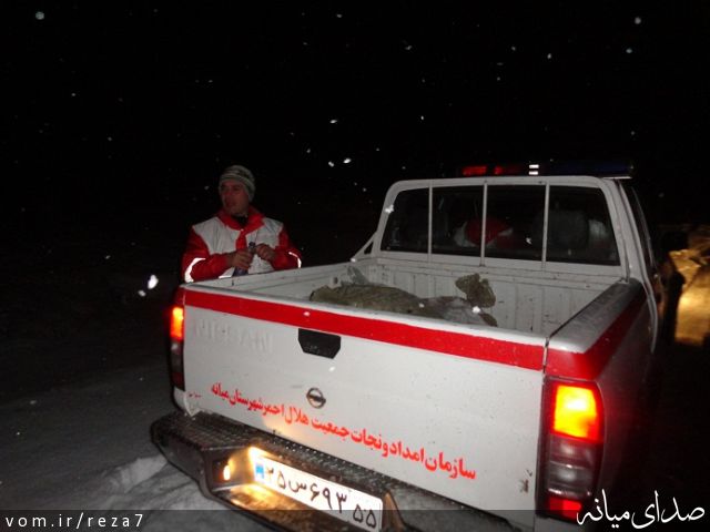 تصویر رضا امامی