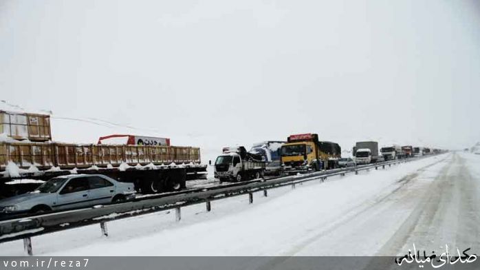 تصویر رضا امامی