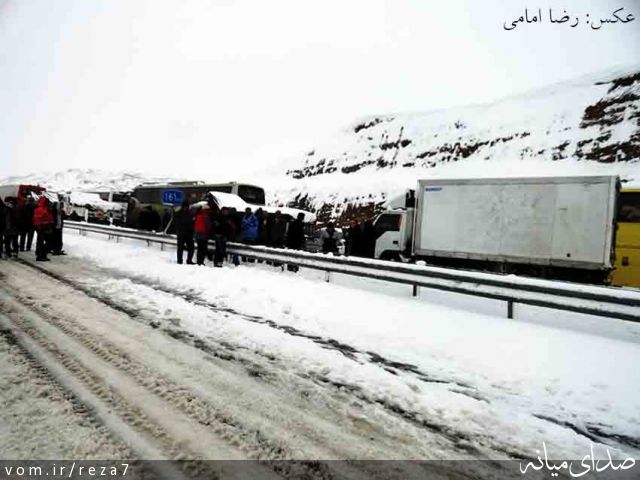 تصویر رضا امامی