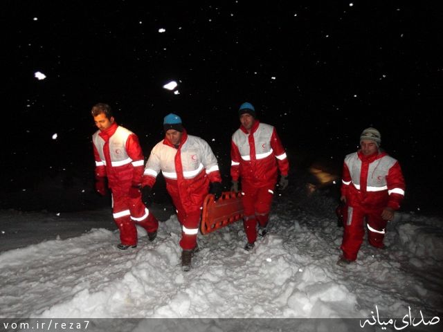 تصویر رضا امامی