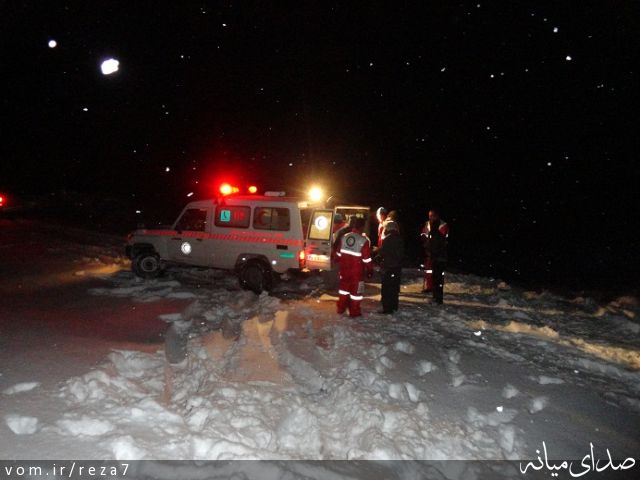 تصویر رضا امامی