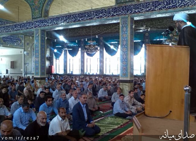 تصویر رضا امامی