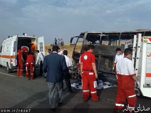 تصویر رضا امامی