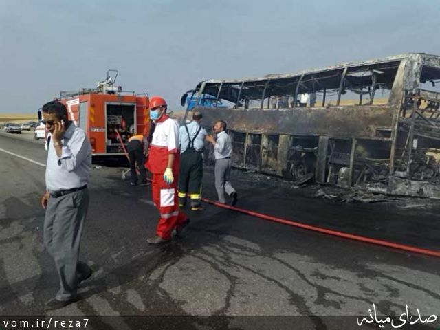 تصویر رضا امامی