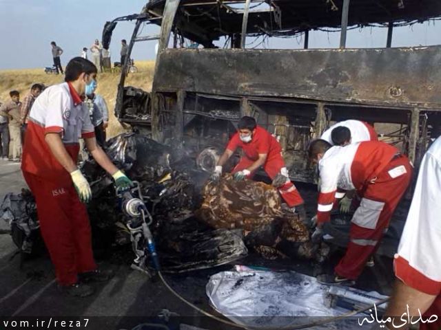 تصویر رضا امامی