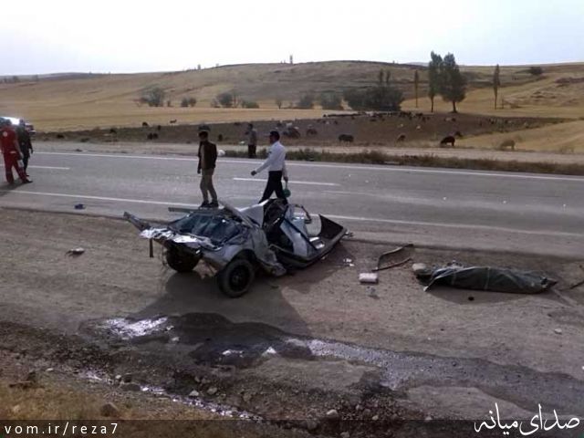 تصویر رضا امامی