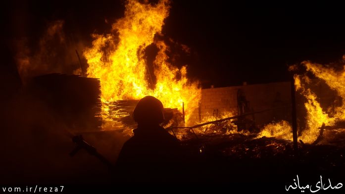 تصویر رضا امامی