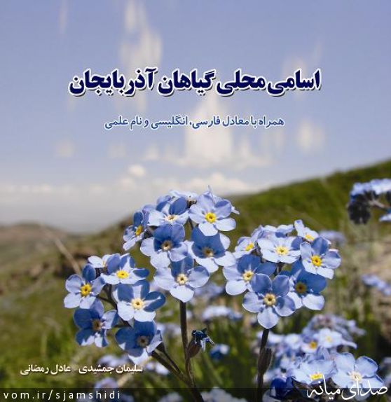 تصویر س جمشیدی