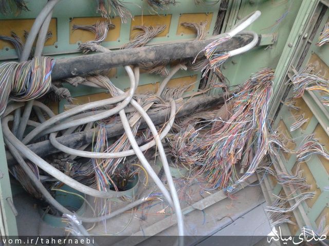 تصویر طاهر نائبی