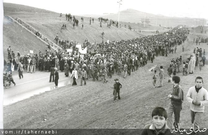 تصویر طاهر نائبی
