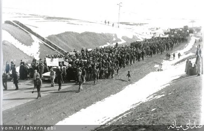 تصویر طاهر نائبی