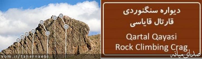 تصویر طاهر نائبی