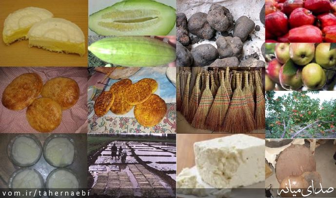 تصویر طاهر نائبی