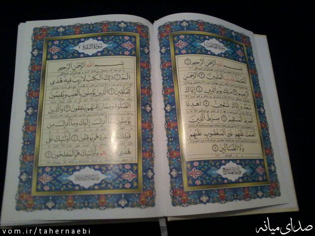 تصویر طاهر نائبی